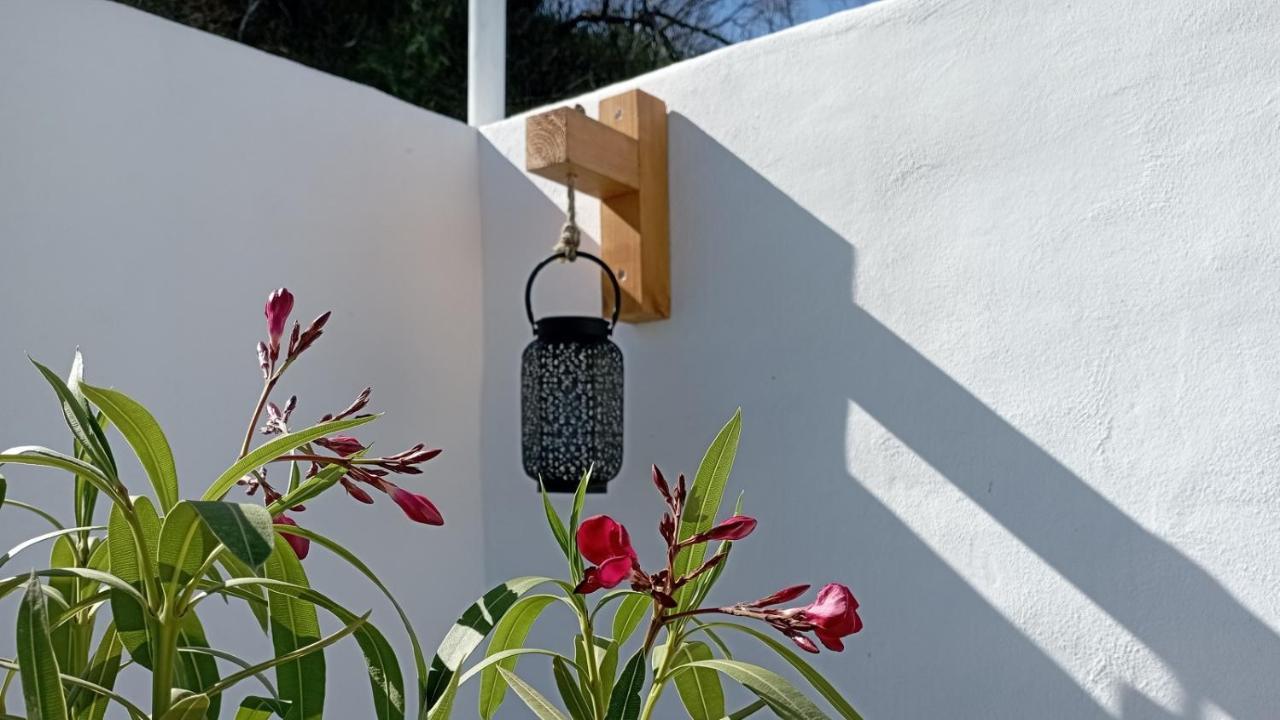 Ferienwohnung Casa Maliyaa Almáchar Exterior foto